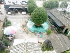 -天怡·鱼工厂(临江店)