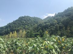 -贵阳市花溪国家城市湿地公园