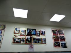 -顶巧鸡汤馄饨(虹口总店)
