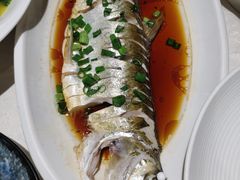 -金美华轩(东方路齐鲁店)