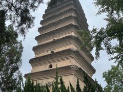 -西安博物院