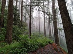 -管涔山