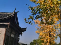 -重庆园博园