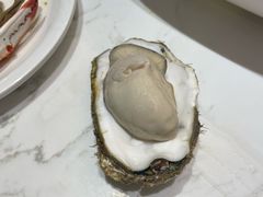 -半岛听涛蒸汽海鲜自助(K11店)