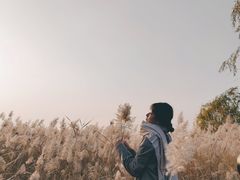 -绿堤公园