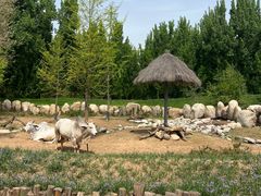 -北京野生动物园