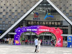 -东浩兰生上海世博展览馆