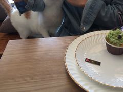 -B.O.M波姆烘焙(凤凰街店)