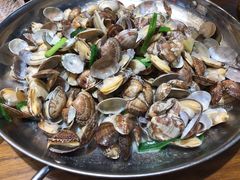 白灼花蛤-必点海鲜·鲅鱼水饺(鞍山西道店)