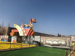 游乐设施-南宫五洲植物乐园