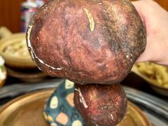 -阿山卓·野生菌火锅·纳西火塘烤肉