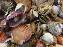 -睿柏云酒店-餐厅