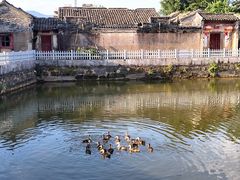 -苏家围·东江画廊旅游景区