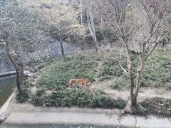 -杭州动物园