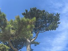 -妙峰山风景名胜区