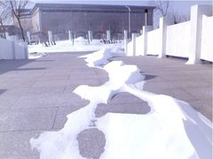 -南开大学滨海学院