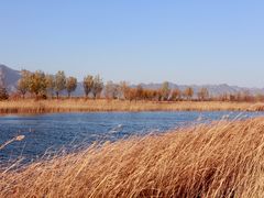 -野鸭湖国家湿地公园