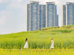 -光明小镇欢乐田园