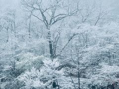 -塔云山