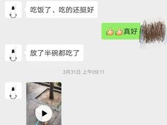 -喜多萌中农锦绣动物医院24H·猫科·牙科MRI·CT