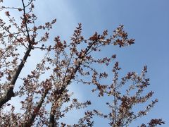 -苏州河梦清园环保主题公园