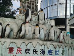 -重庆欢乐海底世界