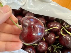 -沈阳站