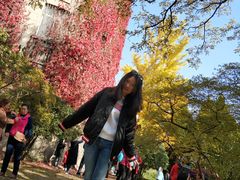 -辽宁大学(崇山校区)