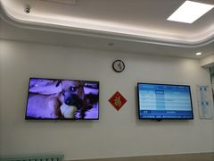 -北京观赏动物医院·24小时大型综合·猫专科·异宠专科