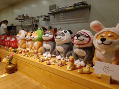 -柴务处·柴犬主题狗咖