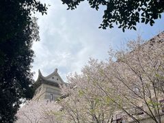 -武汉大学-樱园