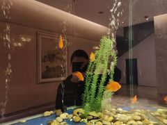 -龙虾酒吧扒房(宁波香格里拉店)