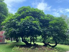 -白云山风景名胜区