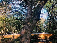 -普陀山风景名胜区-法雨禅寺