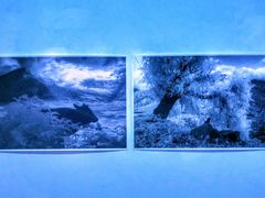 -上海油画雕塑院