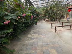 -呀路古热带植物园