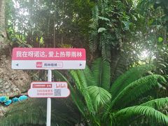 -呀诺达热带雨林