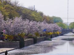 -海棠花溪(元大都城垣遗址公园)