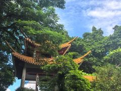 -深圳仙湖植物园