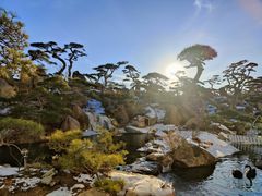 -罗红摄影艺术馆