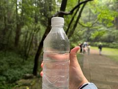 -宋宴(虎跑店)