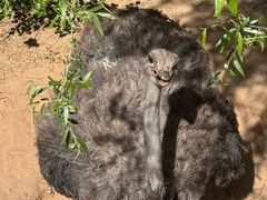 -鄂尔多斯野生动物园