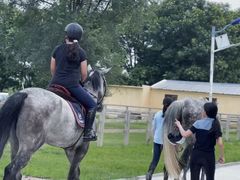 -北京群众马术培训基地