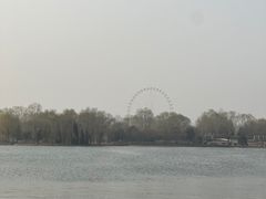 -石家庄市植物园