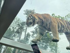 -西霞口神雕山野生动物世界