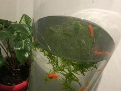 -虾满堂(瑞虹店)