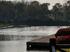 -上海海湾国家森林公园