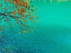 -叠溪松坪沟景区