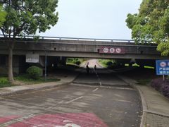 -贡湖湾湿地公园