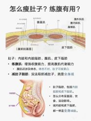点击看大图 -昕孕瑜伽·孕妇瑜伽·产后修复